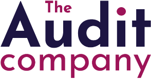 Audit Firm 3